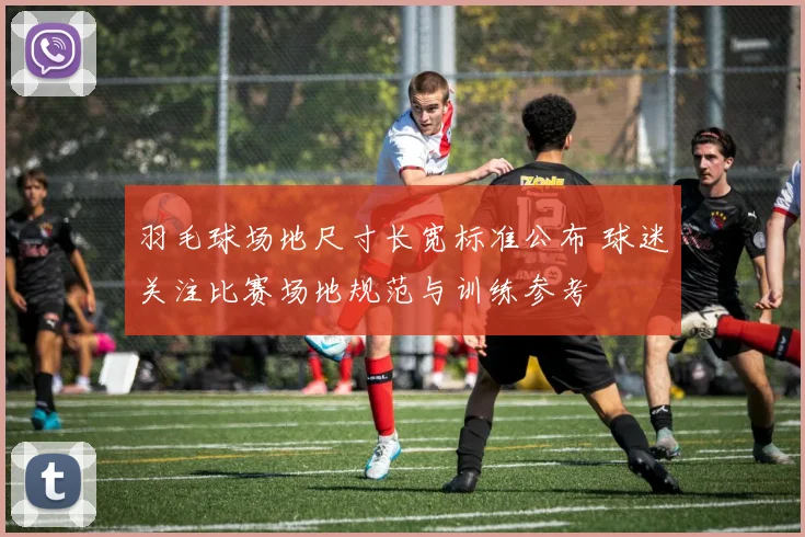 羽毛球场地尺寸长宽标准公布 球迷关注比赛场地规范与训练参考