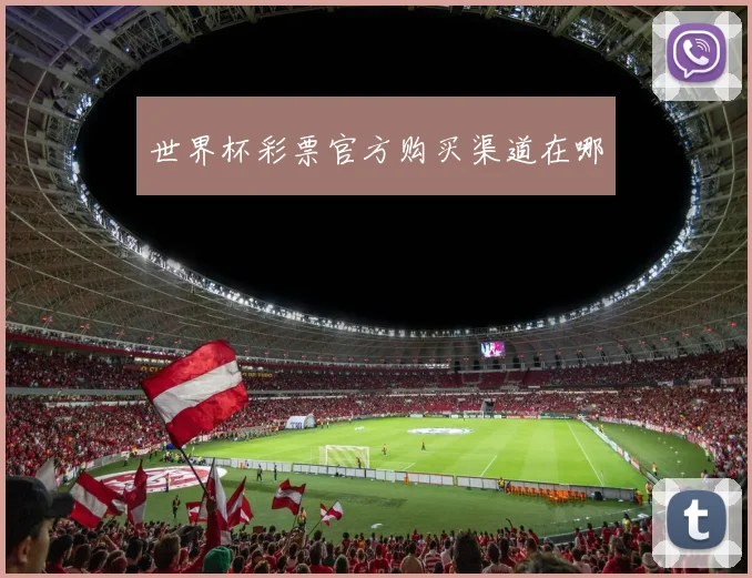 世界杯彩票官方购买渠道在哪