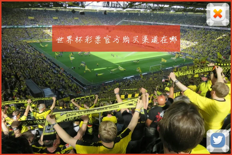 世界杯彩票官方购买渠道在哪