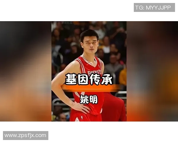 姚明荣归故里嘉兴见证篮球传奇与家乡情怀的交融