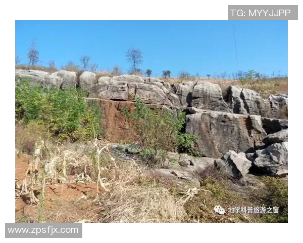 昭平姚明忠的传奇人生与乡村振兴的探索之路